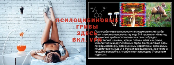 соль ск Рославль
